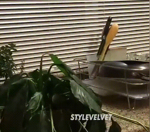 翻译件-JS-通用型植物花卉复活液-1153785_11.gif