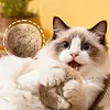 5pcs 8cm Faux Rabbit Fur Ball Faux Fur Cat Balls Toy for Pet Chasing Playing