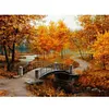 (Autumn)Scenery - Landscape Paint By Numbers Acrylic Painting