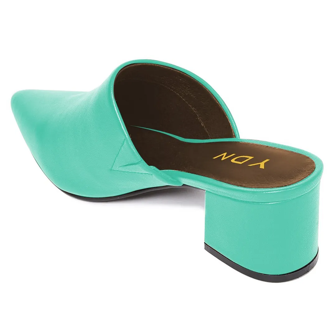 Turquoise Pointed Toe Low Chunky Heel Comfy Mule Shoes for Women