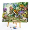 Frameless Bicycle - Paint by Numbers Acrylic Painting 40x50cm