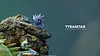 Grass Type Family Series Tyranitar Family - Pokemon Resin Statue - Gene Studios