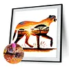 Leopard Landscape-Full Round Diamond Painting 