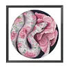 Partial Embroidery DIY Snake Flower Pattern Stamped 11CT Cross Stitch Kits