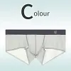 Ice Silk Seamless Transparent Ultra-Thin Boxer Briefs