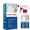 Spray anti-moisissure