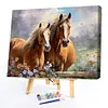 Horse-Paint by Numbers Acrylic Painting 50*40CM