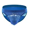 Men's Athletic Silk Underwear Low Rise Nylon Mesh Elastic Solid Pattern Sexy Briefs