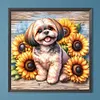 Shih tzu-perceuse ronde peinture diamant-40*40cm