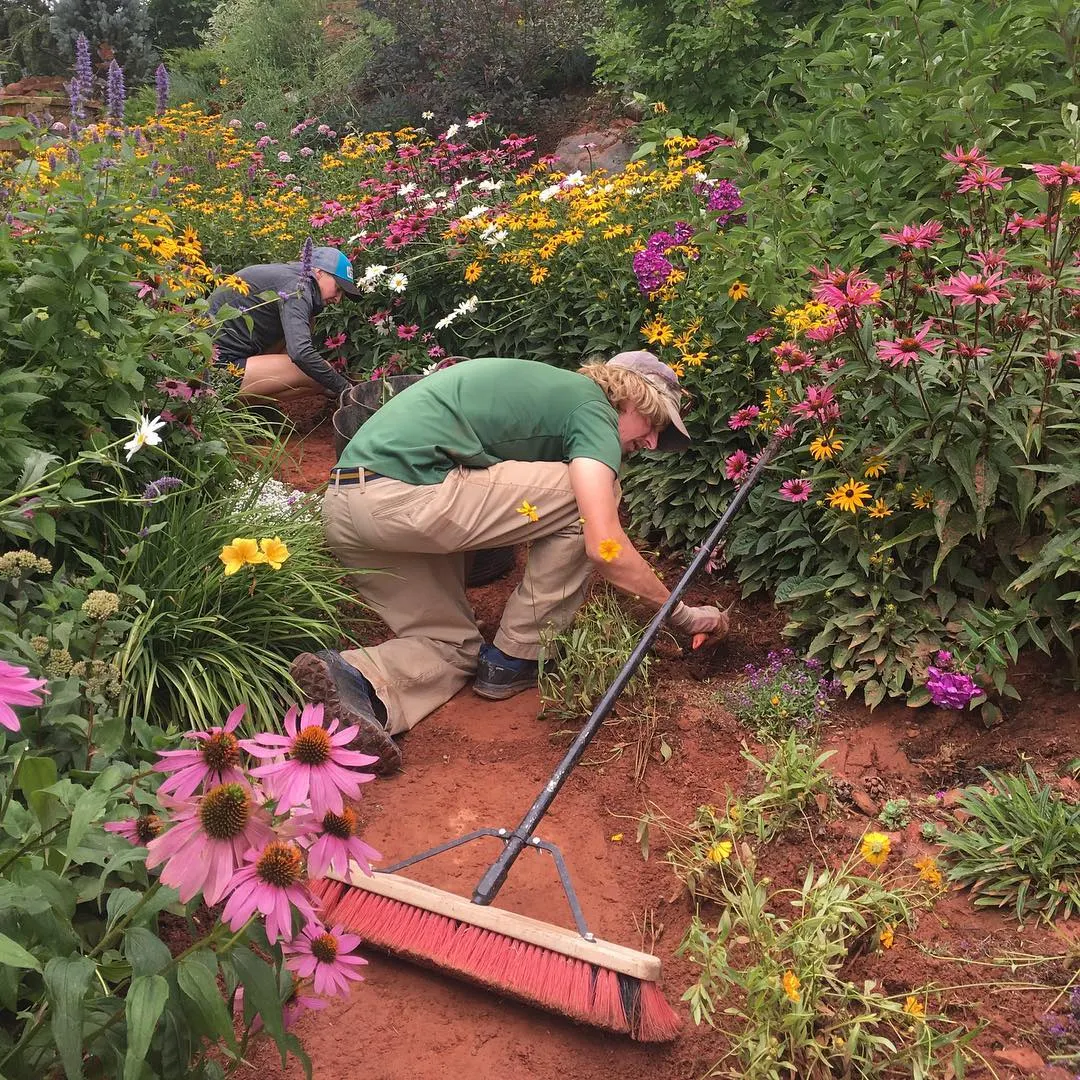 The Enchanted Garden - Over 50 Varieties Mixed Perennial Seeds