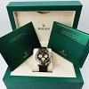 Rolex 116518LN Daytona Intense Black and champagne-colour - New
