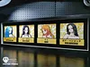 The Beauty in ONE PIECE Decoration Painting - ONE PIECE - Dorobou Neko Studio [In Stock]