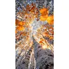 Autumn Birch Trees-11CT Stamped Cross Stitch 40*75cm/15.75*29.53in(Big Size)