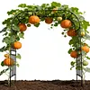 [US Local Warehouse] 7.87ft Garden Arch Trellis for Climbing Plants Metal Arch Frame Pumpkin Archway Outdoor Garden Arbors and Arches for Halloween Christmas Birthday Party Baby Shower Decoration (300x240x50cm)