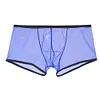 Ultra-thin U Convex Pouch Mesh Transparent Sexy Panties