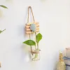 Glass Container Plants Glass Air Plants Hanging Glass Container Plants Glass Home Decor Vase Wall Mounted Glass Planter (Hanging Glass Vase)