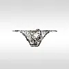 Men's Sexy Leopard Print Ultra-Thin Ice Silk Pouch Briefs
