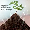 Organic Coconut Coir for Plants -Last Day Sale 49% OFF✨