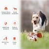 Zoo Ball | 2-in-1 Plush and Squeaky Tennis Ball for Dog | No Stuffing Tough Interactive Fetch Dog Toys for Small Medium Large Dogs