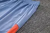 Joyfball 2024/2025 Cruzeiro Half-Pull Training Suit Grey Football Shirt 1:1 Thai Quality
