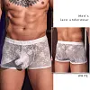 Men's Lace Transparent UnderwearS Sexy Elephant Trunk Boxer Briefs