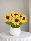 4Pcs Potted Plants Crochet Kit DIY Crochet Starter Kit Crochet Set for Beginners