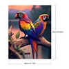Parrot-Paint by Numbers Acrylic Painting 40*50CM