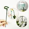 🔥2024 HOT SALE🔥Plant Support Stake