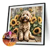 Teddy-Peinture diamant foret rond-40*40cm