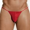 Fashion Men's Lingerie Thong Erotic Lingerie Smooth Briefs