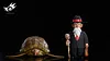 Master Roshi & Tortoise - Dragon Ball Resin Statue - WuBoBo