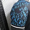2024/2025 Player Version Barcelona Blue-Black Lion Special Edition Football Shirt 1:1 Thai Quality