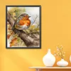 (US Local)Robin-11CT Stamped Cross Stitch Kit(40x50cm)