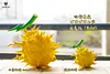 Hollow-Hollow Fruit & Rumble-Rumble Fruit - ONE PIECE Resin Statue - Demon Studios