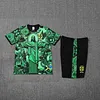 2025 Brazil Pre-Match Training Green Shirt+Shorts 1:1 Thai Quality