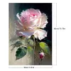 Pink Rose-Paint By Numbers Acrylic Painting 30*40CM