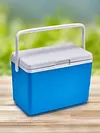 3L Insulated Portable Cooler with Handle Mini Freezer Fridge for Beach Picnic