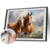 Horse-Paint by Numbers Acrylic Painting 50*40CM