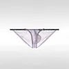 Men's Low-Rise Ultra-Thin Ice Silk Transparent U-Shaped Pouch Sexy Briefs