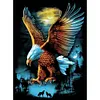 Eagle  - Full Round Diamond Painting  30*40cm/40*50cm