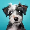 Beauty Dog - Paint by Numbers Acrylic Painting