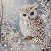 Owl-Partial Special Shaped Diamond Painting 30*30CM