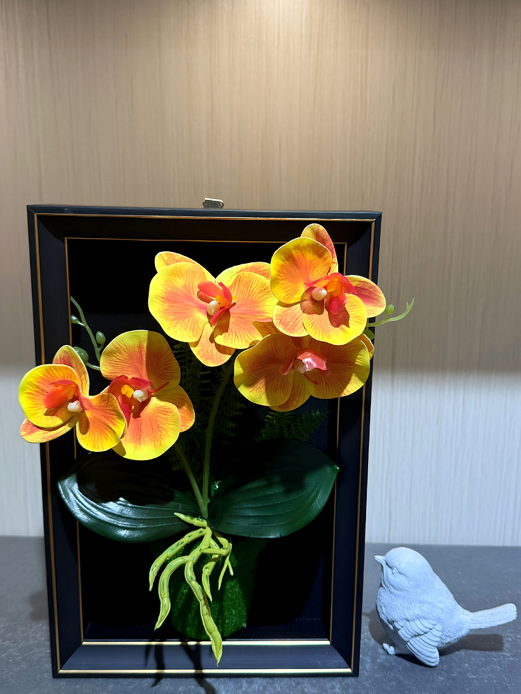 Lifelike & Eco-Friendly Artificial Orange Phalaenopsis Orchid Framed Botanical Display 🌸（Size9 in&times; 12 in）