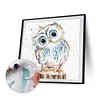 Cute Owl-Paint by Numbers Acrylic Painting 20*20cm
