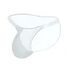 Men's Sexy Ice Silk Transparent Elastic Seamless Briefs