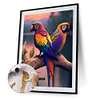 Parrot-Paint by Numbers Acrylic Painting 40*50CM