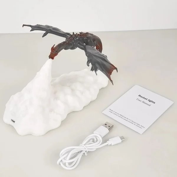 Dragon Lamp &ndash;U.S. regulations
