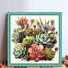 Succulent - 14CT Stamped Cross Stitch - 40*40cm - Flower