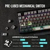 F87 Pro Mechanical Keyboard with Wireless Connector, 3 TKL Modes (Bluetooth/2.4GHz Wireless/Type-C) Gaming Keyboard, Hot Swappable, Side Printed PBT Keycaps (Black)