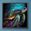 Sea Turtle-Paint by Numbers Acrylic Painting 40*40CM(HOT)